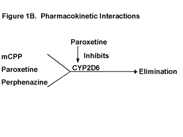 Figure 1B